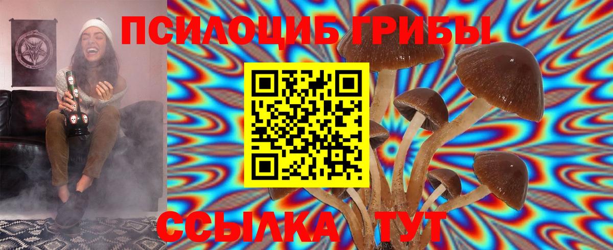 Галлюциногенные грибы мухоморы  Вход с VPN  дарнет шоп  Галлюциногенные грибы ЛСД  Новотроицк 