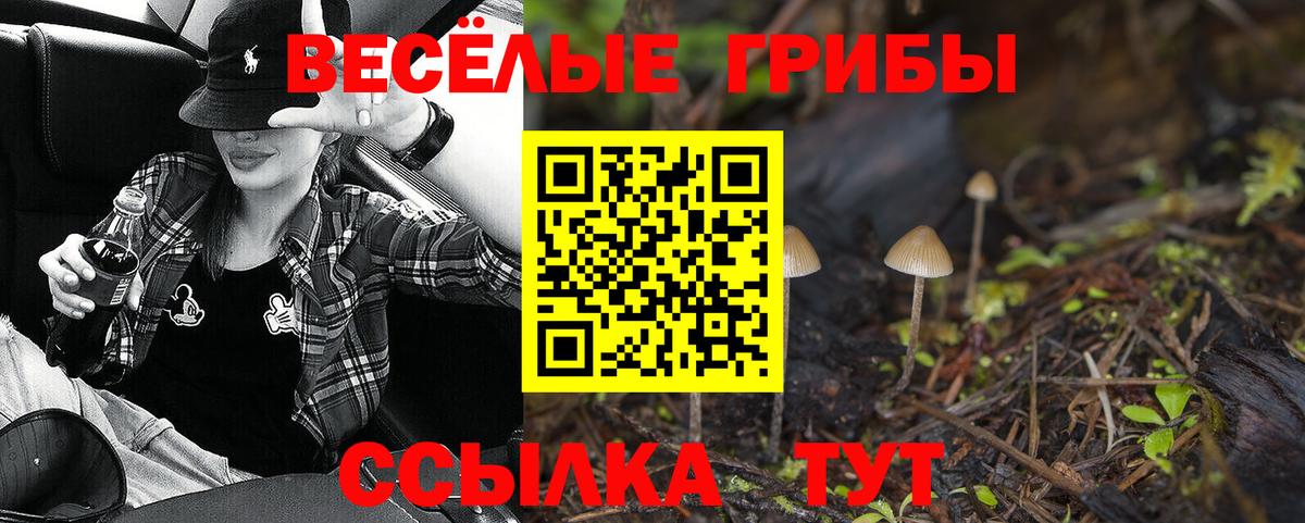Галлюциногенные грибы Magic Shrooms Новотроицк